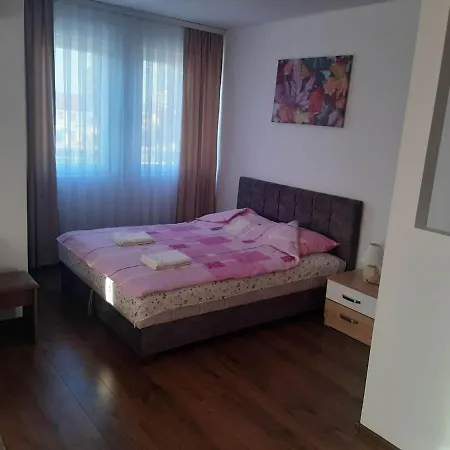 Vila Centar Mb B&B Sjenica